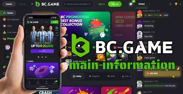 Understanding BC.Game Terms and Conditions A Comprehensive Guide 908174364